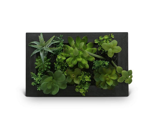 Tenture murale en fausse plante succulente verdoyante